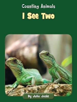 cover image of I See Two